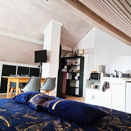 Vaste Studio Chaleureux Chaffois Dış mekan fotoğraf